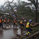 Langkah Tanggap Darurat Saat Bencana Alam Melanda
